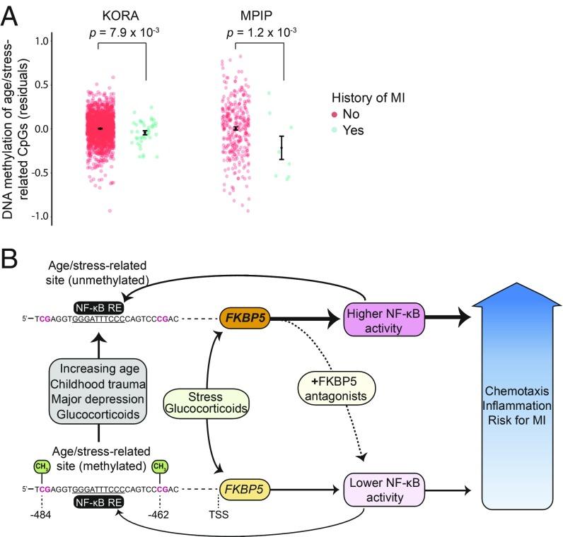 https://cdn.ncbi.nlm.nih.gov/pmc/blobs/0ca0/6561294/152304dc53df/pnas.1816847116fig06.jpg