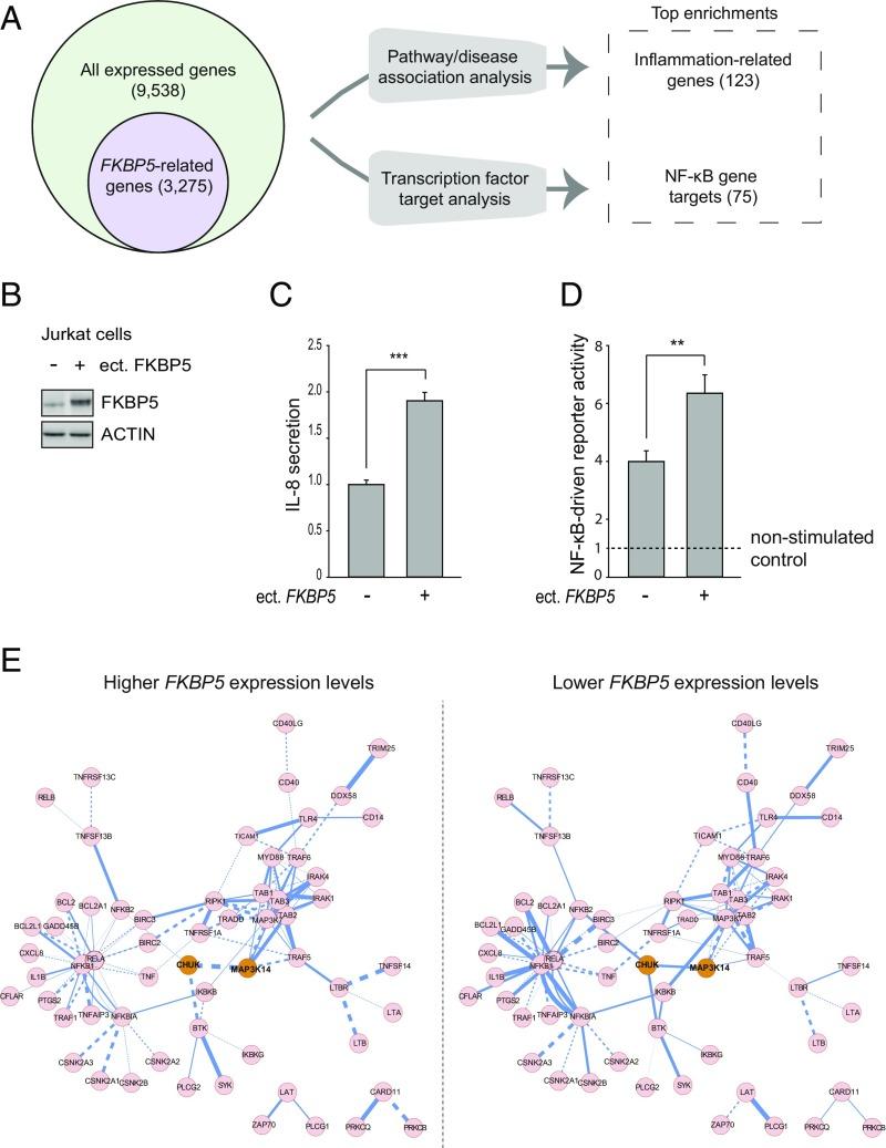 https://cdn.ncbi.nlm.nih.gov/pmc/blobs/0ca0/6561294/b2524370d14b/pnas.1816847116fig03.jpg