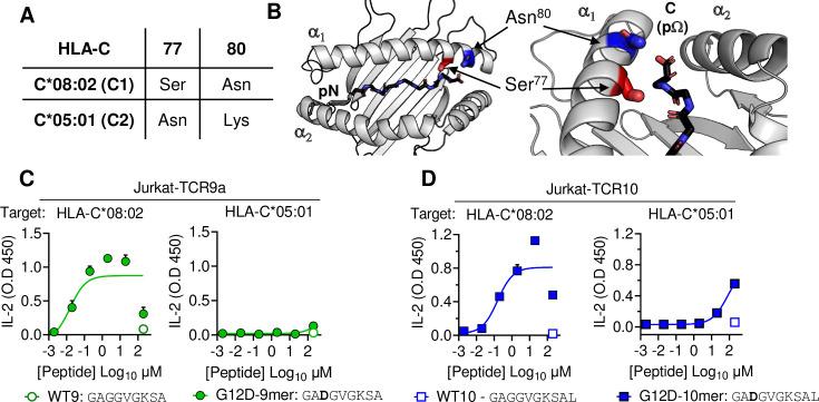 https://cdn.ncbi.nlm.nih.gov/pmc/blobs/0cb3/9177145/465b58f845f3/elife-75670-fig1.jpg