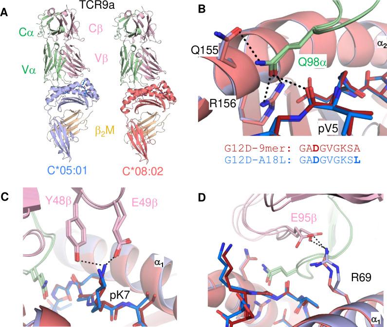 https://cdn.ncbi.nlm.nih.gov/pmc/blobs/0cb3/9177145/5e37b6c657b5/elife-75670-fig4.jpg