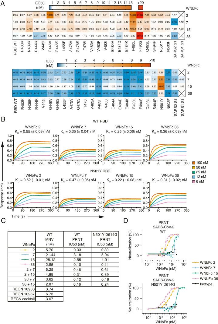 https://cdn.ncbi.nlm.nih.gov/pmc/blobs/0cbc/8126837/d01f1d9f172a/pnas.2101918118fig02.jpg
