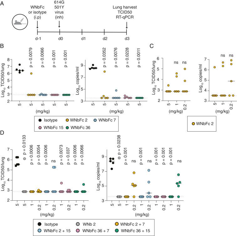 https://cdn.ncbi.nlm.nih.gov/pmc/blobs/0cbc/8126837/e83ec1155c2f/pnas.2101918118fig04.jpg