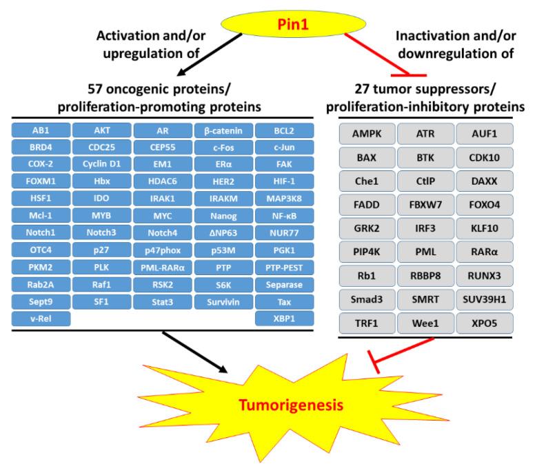https://cdn.ncbi.nlm.nih.gov/pmc/blobs/0cc8/8065645/d3e931da7efb/biomedicines-09-00359-g001.jpg