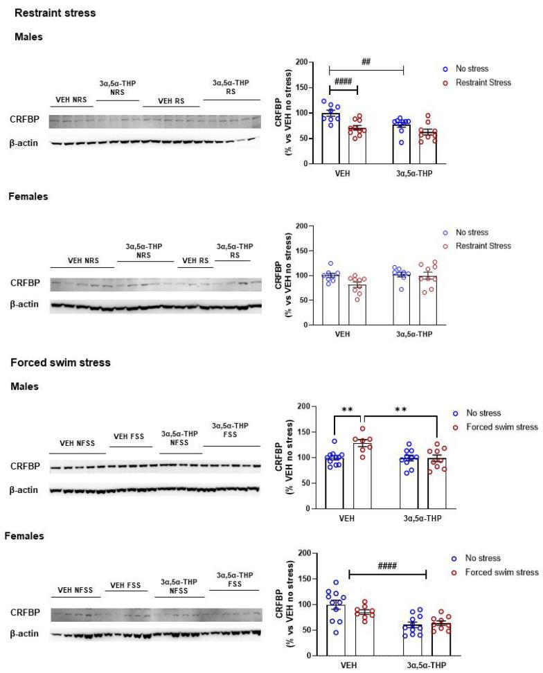 https://cdn.ncbi.nlm.nih.gov/pmc/blobs/0cca/9406198/346ae42f3302/biomolecules-12-01134-g005.jpg