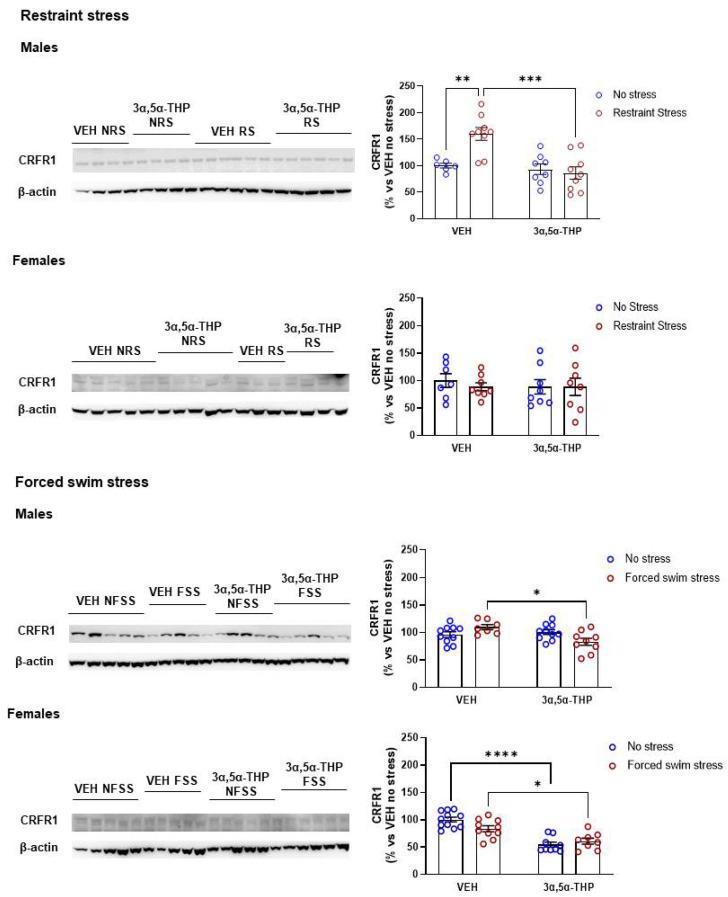 https://cdn.ncbi.nlm.nih.gov/pmc/blobs/0cca/9406198/40216a727b84/biomolecules-12-01134-g004.jpg