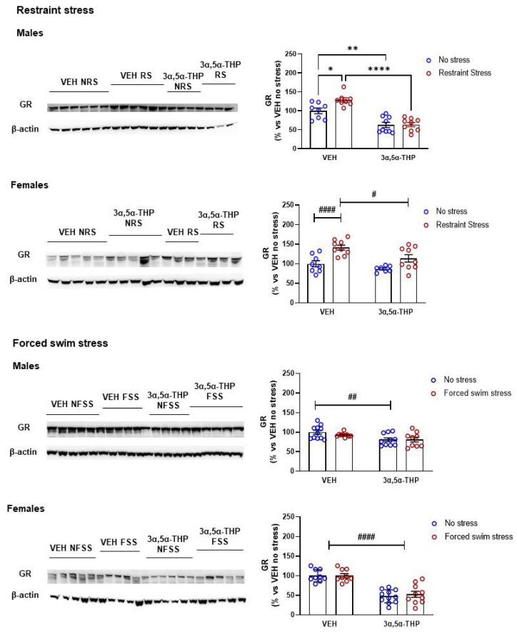 https://cdn.ncbi.nlm.nih.gov/pmc/blobs/0cca/9406198/4599eb04ef0b/biomolecules-12-01134-g002.jpg