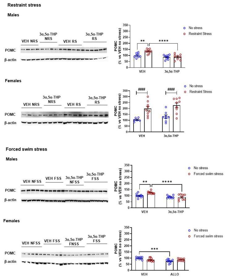 https://cdn.ncbi.nlm.nih.gov/pmc/blobs/0cca/9406198/6ea7e3a107f3/biomolecules-12-01134-g006.jpg