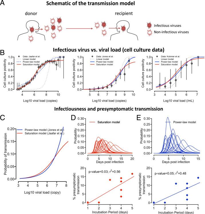 https://cdn.ncbi.nlm.nih.gov/pmc/blobs/0cd2/8670484/121f285dcd39/pnas.202111477fig02.jpg