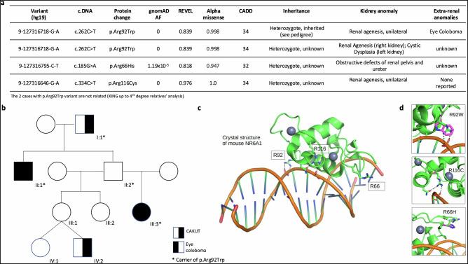 https://cdn.ncbi.nlm.nih.gov/pmc/blobs/0cd3/12332173/4f8cfcead0c4/41467_2025_62319_Fig4_HTML.jpg