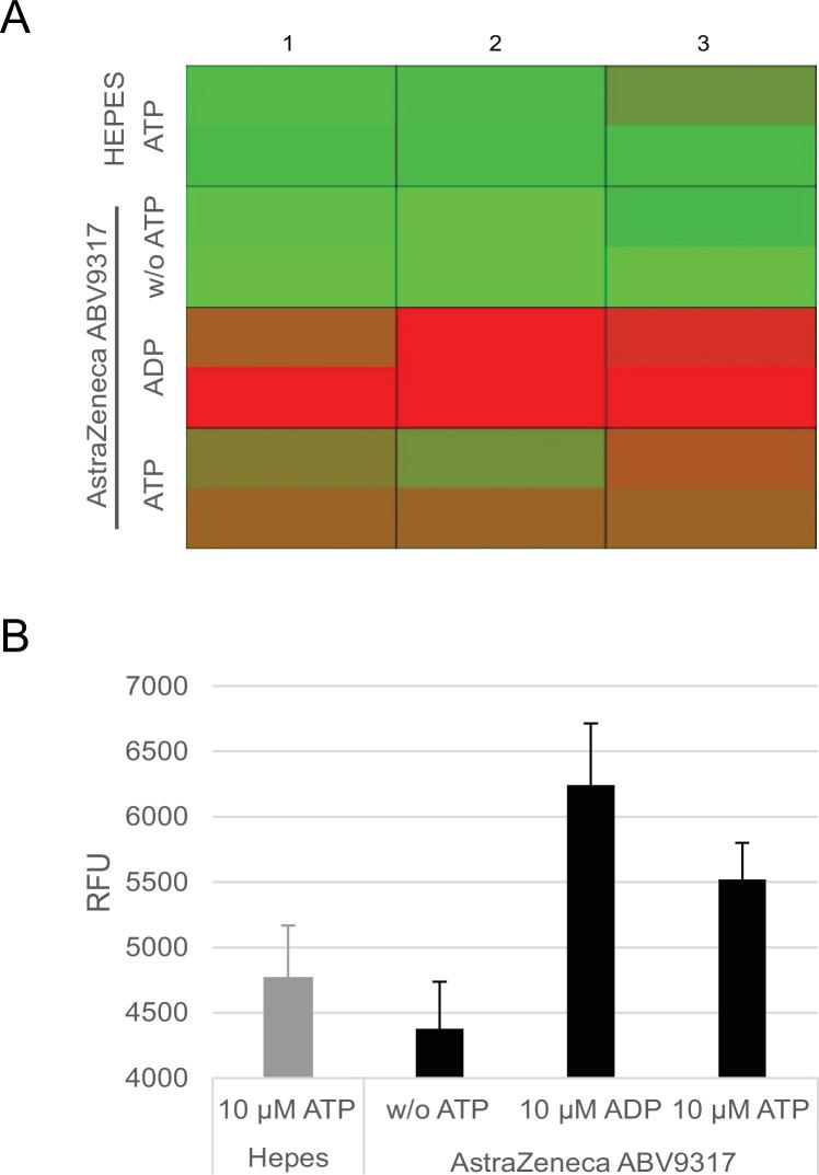 https://cdn.ncbi.nlm.nih.gov/pmc/blobs/0cdb/9313527/3d7dfa730459/elife-78513-fig5.jpg