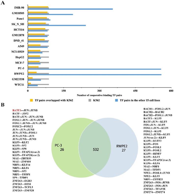 https://cdn.ncbi.nlm.nih.gov/pmc/blobs/0ce2/11665839/44d621e229ec/SYB2-18-238-g003.jpg