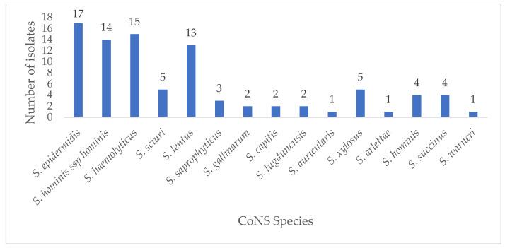 https://cdn.ncbi.nlm.nih.gov/pmc/blobs/0cec/7922184/98d8adfa69f9/antibiotics-10-00198-g001.jpg