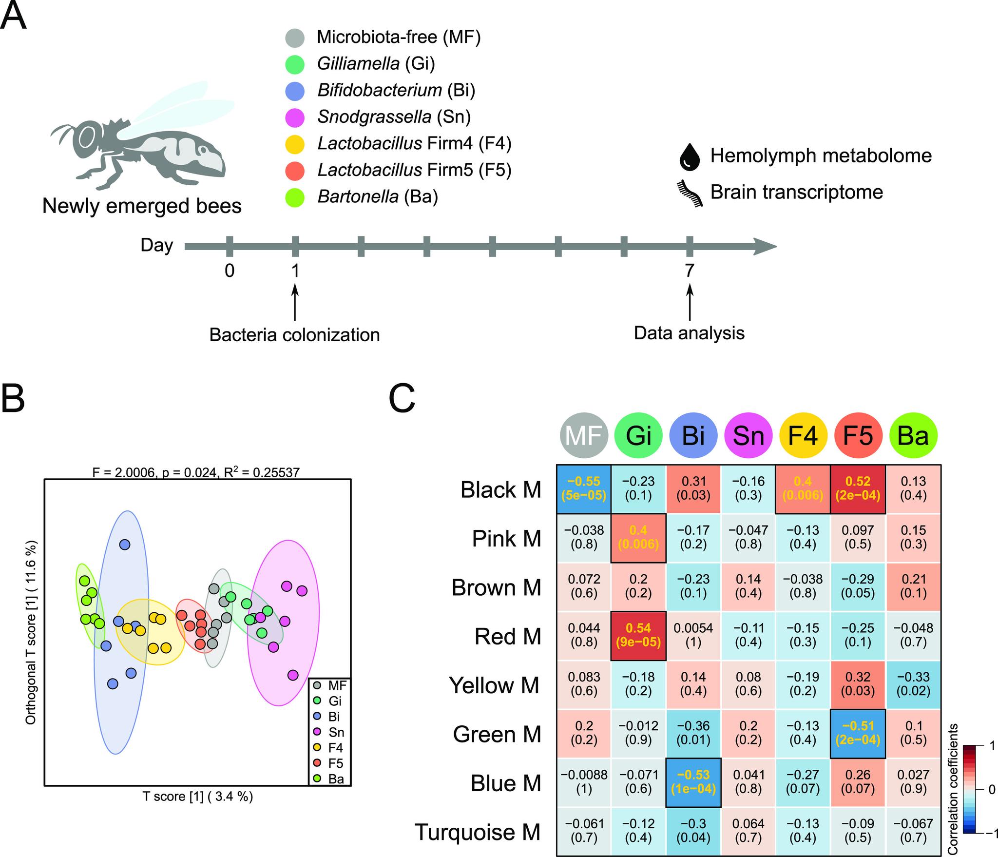 https://cdn.ncbi.nlm.nih.gov/pmc/blobs/0cfc/9045319/a5c7ebe8b450/spectrum.02438-21-f001.jpg
