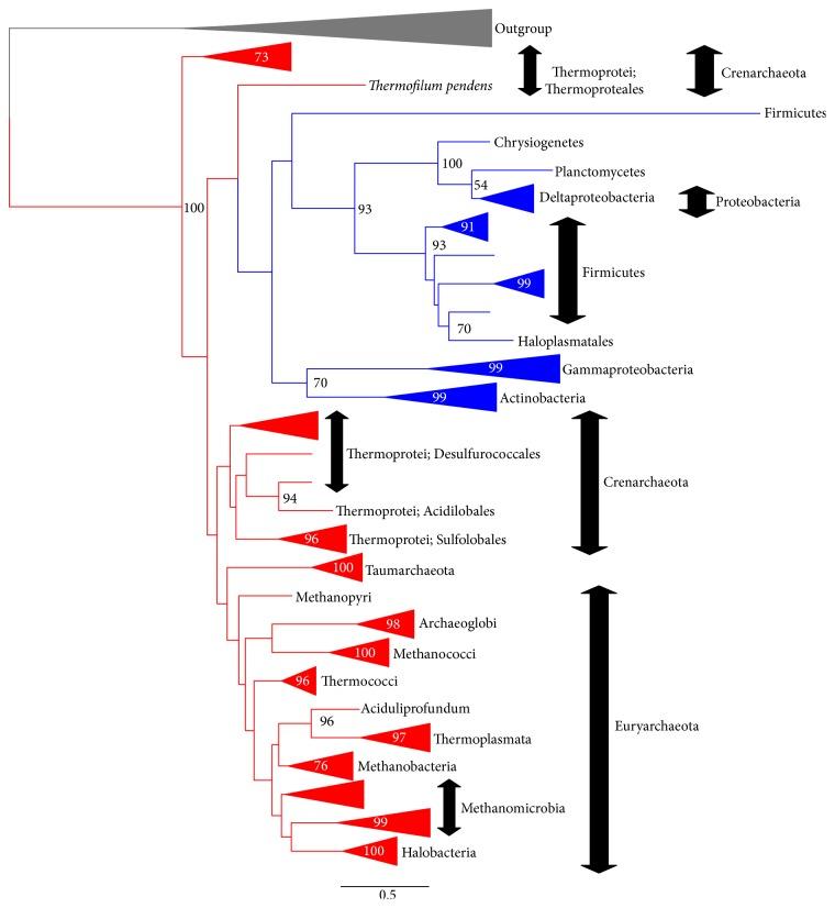 https://cdn.ncbi.nlm.nih.gov/pmc/blobs/0d01/5059525/6e73c47b869b/ARCHAEA2016-1802675.003.jpg