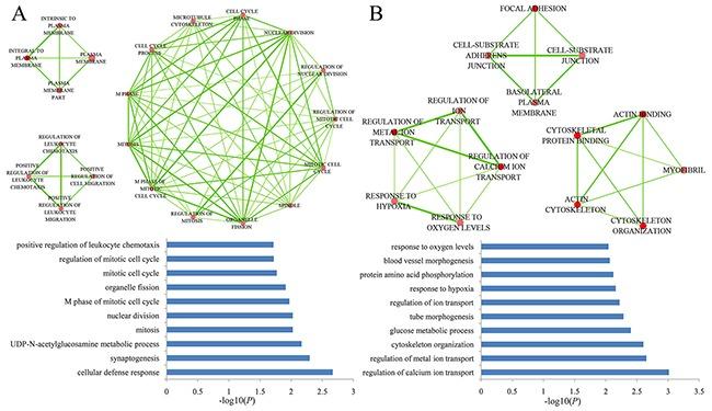 https://cdn.ncbi.nlm.nih.gov/pmc/blobs/0d08/5302985/3f2e4938fbd7/oncotarget-07-57228-g004.jpg