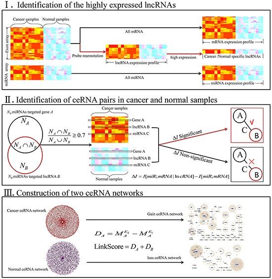 https://cdn.ncbi.nlm.nih.gov/pmc/blobs/0d08/5302985/d70353bc9e89/oncotarget-07-57228-g001.jpg