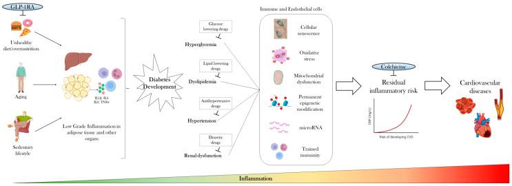 https://cdn.ncbi.nlm.nih.gov/pmc/blobs/0d2b/11476093/9a8e8958e452/cells-13-01662-g001.jpg