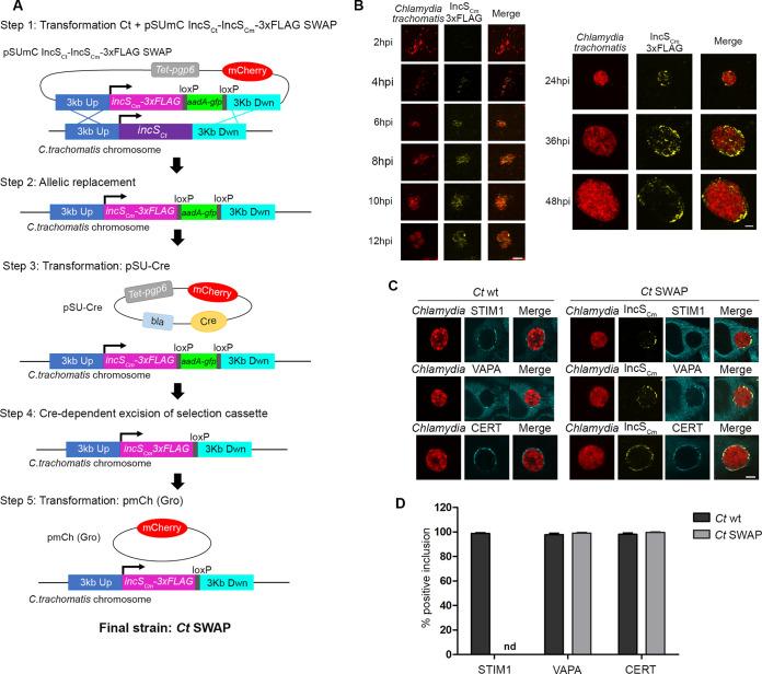 https://cdn.ncbi.nlm.nih.gov/pmc/blobs/0d3f/10117133/fff167ea07de/msphere.00003-23-f005.jpg