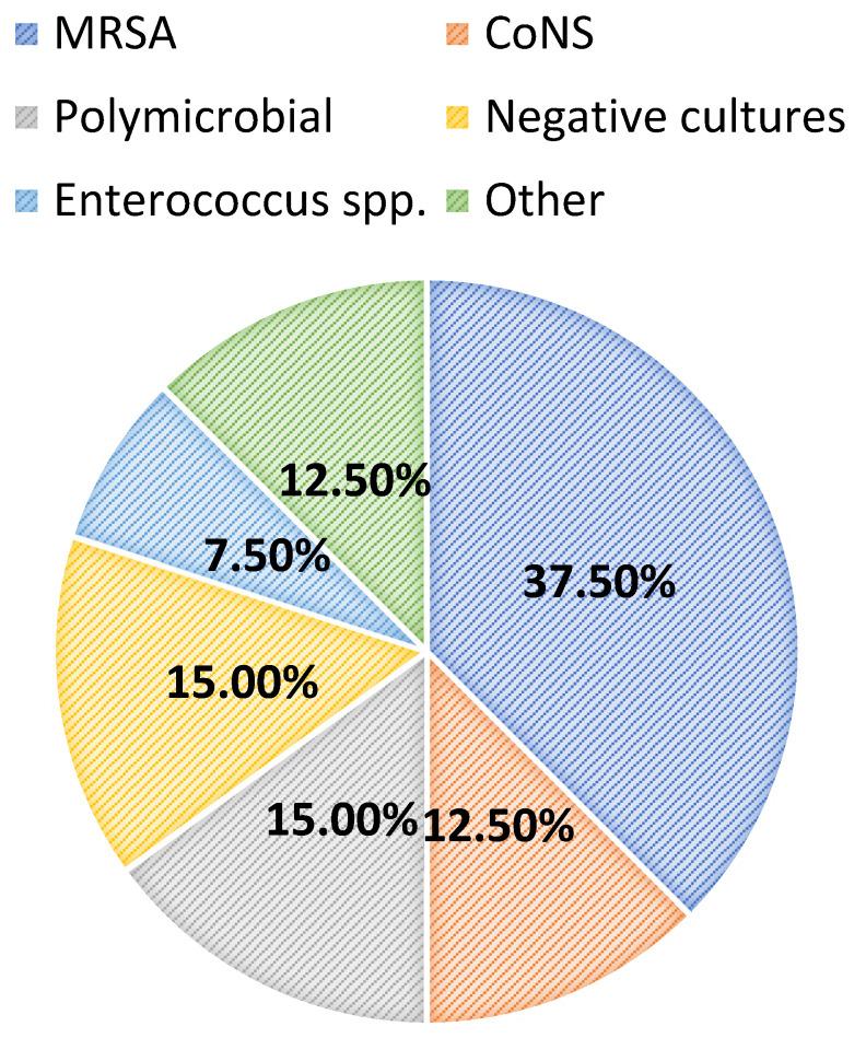 https://cdn.ncbi.nlm.nih.gov/pmc/blobs/0d98/11444134/610db104cb1e/antibiotics-13-00833-g002.jpg