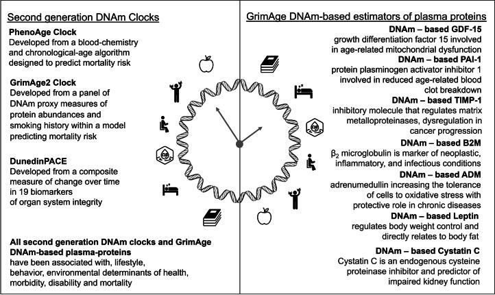 https://cdn.ncbi.nlm.nih.gov/pmc/blobs/0d98/11922767/482ffc678fe0/43587_2024_793_Fig4_ESM.jpg