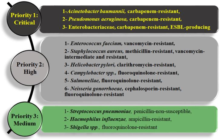 https://cdn.ncbi.nlm.nih.gov/pmc/blobs/0d9e/9495857/06b5ae00533a/biology-11-01328-g001.jpg