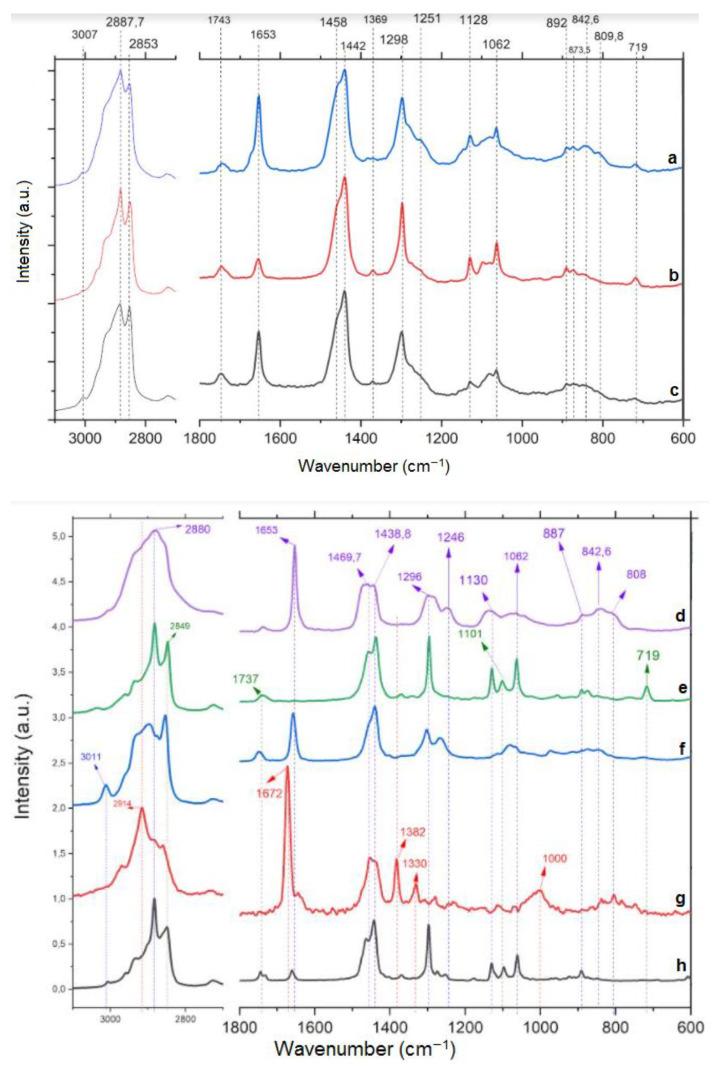 https://cdn.ncbi.nlm.nih.gov/pmc/blobs/0daf/8399424/834d4e1e090a/molecules-26-04825-g005.jpg