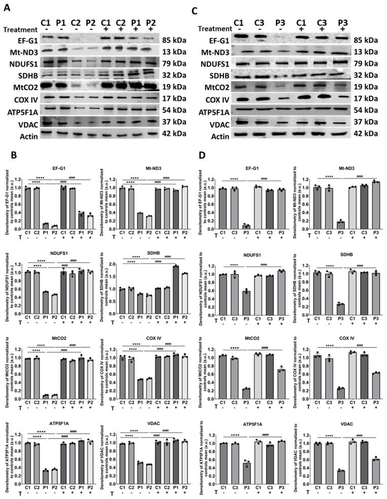 https://cdn.ncbi.nlm.nih.gov/pmc/blobs/0dc9/11118892/8be8bf79c4f3/biomolecules-14-00598-g003.jpg