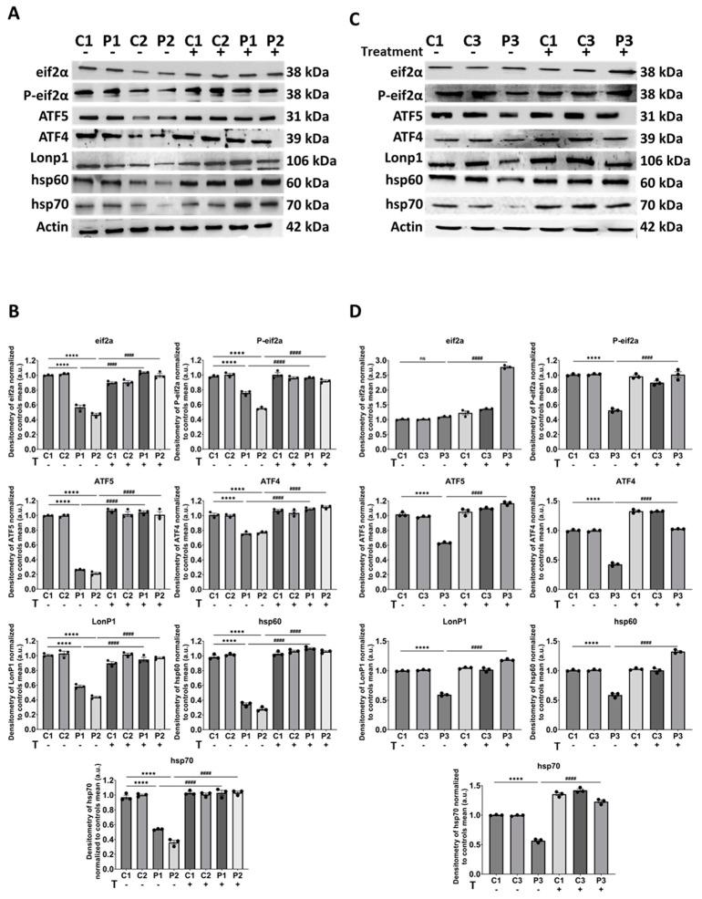 https://cdn.ncbi.nlm.nih.gov/pmc/blobs/0dc9/11118892/913fda1b3491/biomolecules-14-00598-g008.jpg