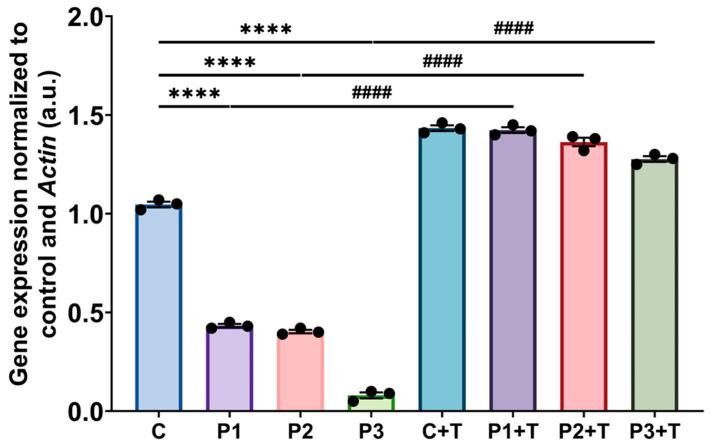 https://cdn.ncbi.nlm.nih.gov/pmc/blobs/0dc9/11118892/9ce65ae86443/biomolecules-14-00598-g002.jpg