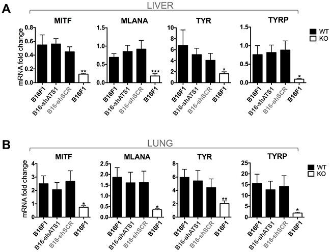 https://cdn.ncbi.nlm.nih.gov/pmc/blobs/0dce/5085172/3c01ee20a581/oncotarget-07-34507-g006.jpg