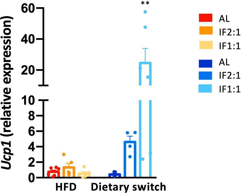 https://cdn.ncbi.nlm.nih.gov/pmc/blobs/0dd6/12240114/2190e295b272/figs4.jpg