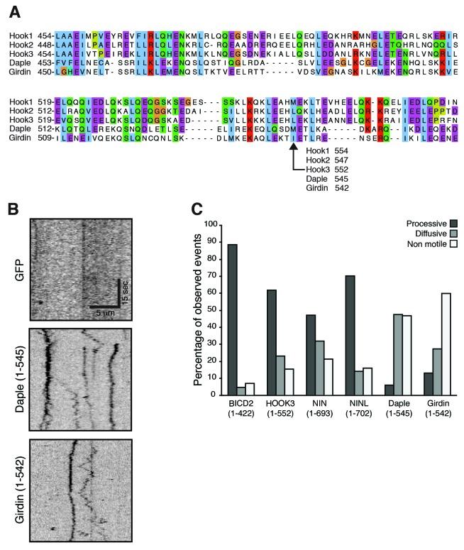 https://cdn.ncbi.nlm.nih.gov/pmc/blobs/0ddc/5533585/bb9ff0b9d527/elife-28257-fig4-figsupp2.jpg