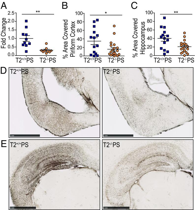https://cdn.ncbi.nlm.nih.gov/pmc/blobs/0de7/5663386/35cb52870ed1/pnas.1710311114fig05.jpg