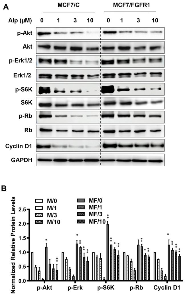 https://cdn.ncbi.nlm.nih.gov/pmc/blobs/0dfe/12159599/399aee8d9883/cdr-8-24.fig.2.jpg