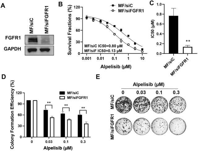 https://cdn.ncbi.nlm.nih.gov/pmc/blobs/0dfe/12159599/6753b41d2f04/cdr-8-24.fig.3.jpg