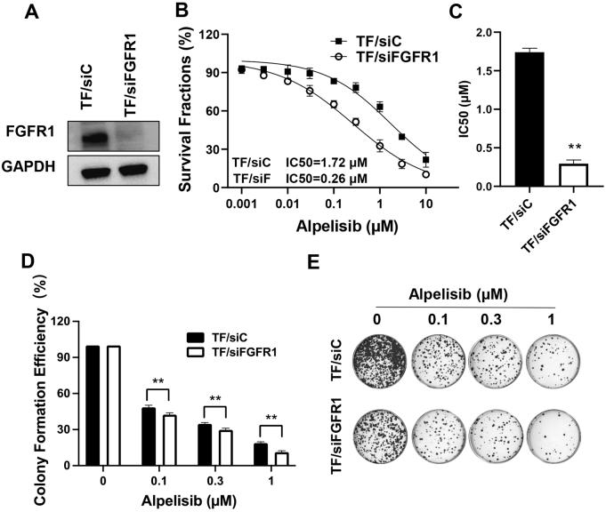 https://cdn.ncbi.nlm.nih.gov/pmc/blobs/0dfe/12159599/7b390fc6b615/cdr-8-24.fig.9.jpg