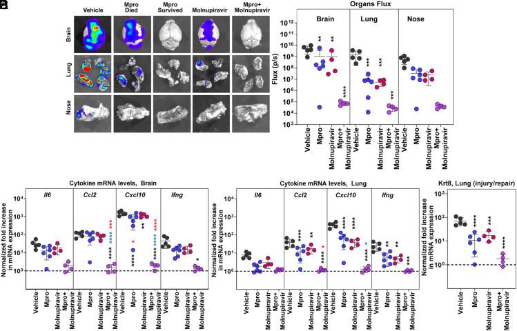 https://cdn.ncbi.nlm.nih.gov/pmc/blobs/0e16/11046628/3fe136bb1127/pnas.2320713121fig07.jpg