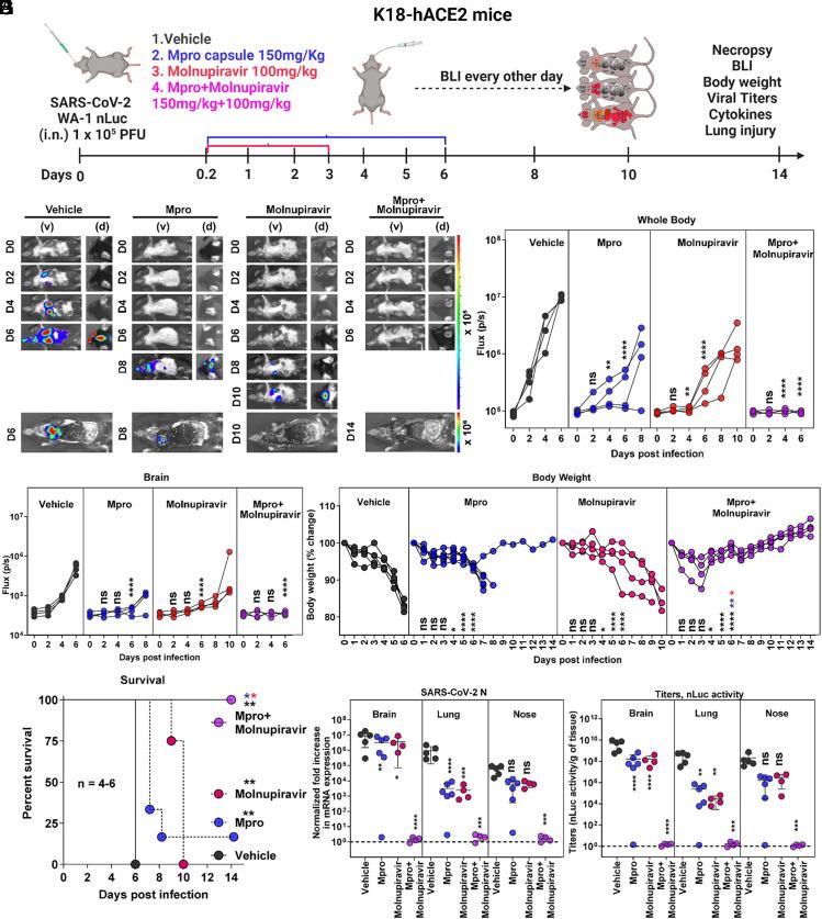 https://cdn.ncbi.nlm.nih.gov/pmc/blobs/0e16/11046628/cfdcb7079b89/pnas.2320713121fig06.jpg