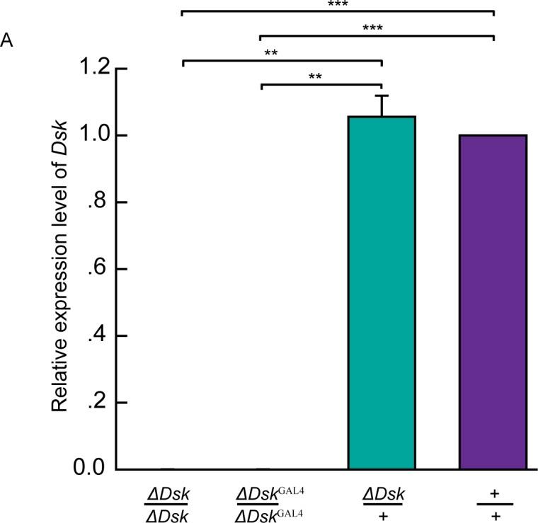 https://cdn.ncbi.nlm.nih.gov/pmc/blobs/0e1d/7173970/f167999110b5/elife-54229-fig1-figsupp1.jpg