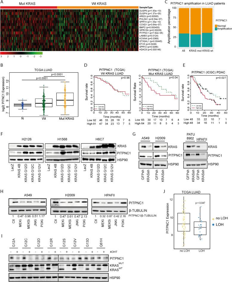 https://cdn.ncbi.nlm.nih.gov/pmc/blobs/0e37/10199551/5db34eaac593/12943_2023_1788_Fig1_HTML.jpg