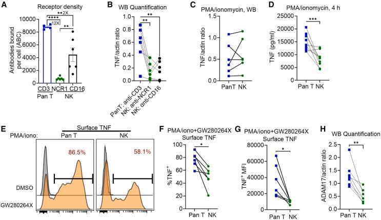 https://cdn.ncbi.nlm.nih.gov/pmc/blobs/0e3a/12147900/feb872aabcc8/gr2.jpg