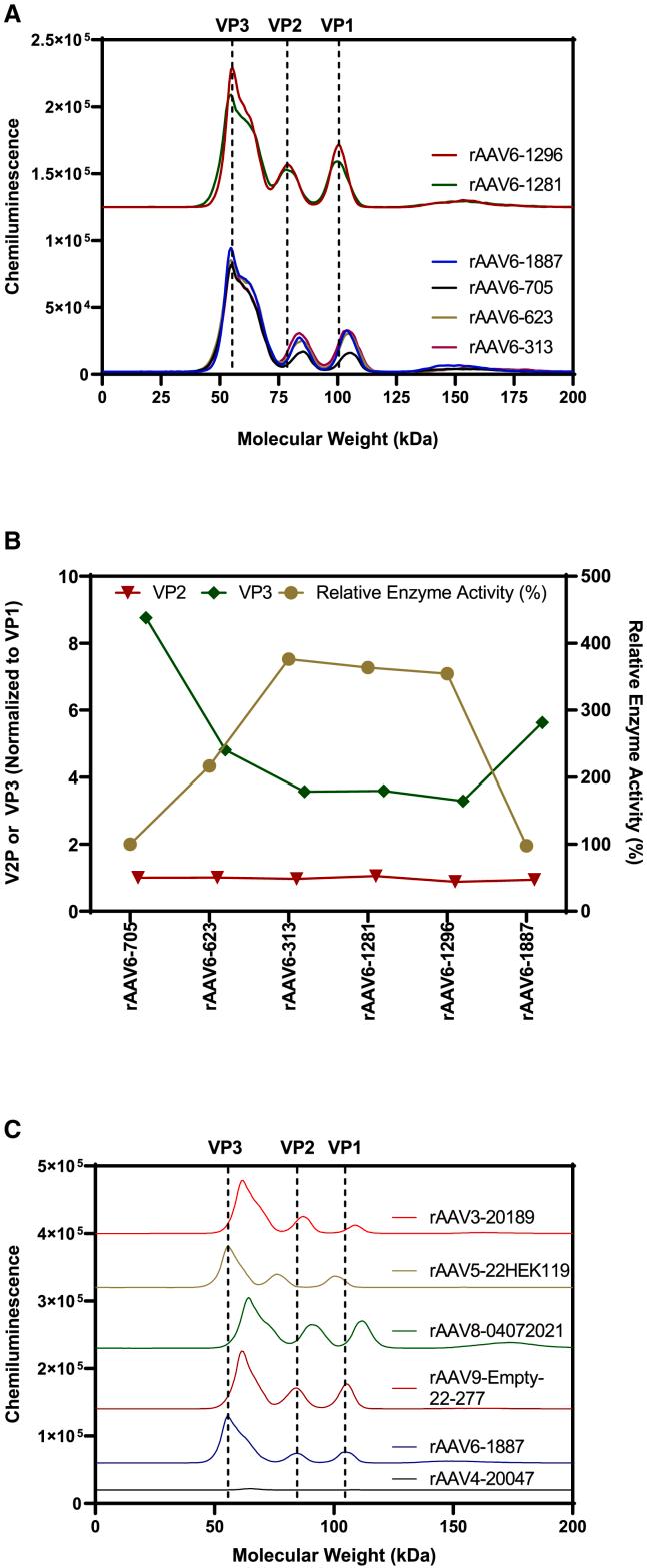 https://cdn.ncbi.nlm.nih.gov/pmc/blobs/0e47/11396060/0dbb1422e6e2/gr2.jpg