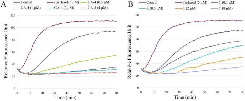 https://cdn.ncbi.nlm.nih.gov/pmc/blobs/0e49/5607265/5c9b6012b017/41598_2017_10860_Fig3_HTML.jpg