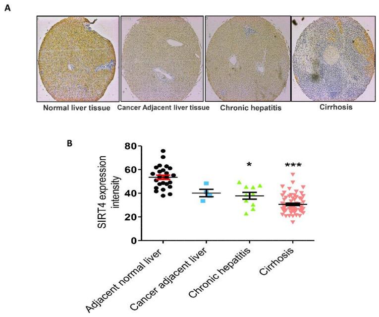 https://cdn.ncbi.nlm.nih.gov/pmc/blobs/0e4d/7290750/5649de61b853/cells-09-01101-g002.jpg