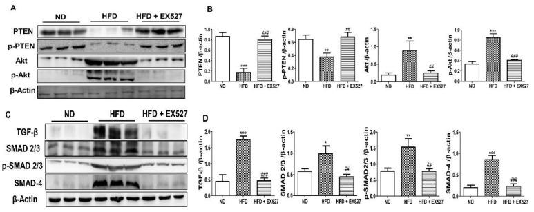https://cdn.ncbi.nlm.nih.gov/pmc/blobs/0e4d/7290750/875a2ac475ed/cells-09-01101-g009a.jpg