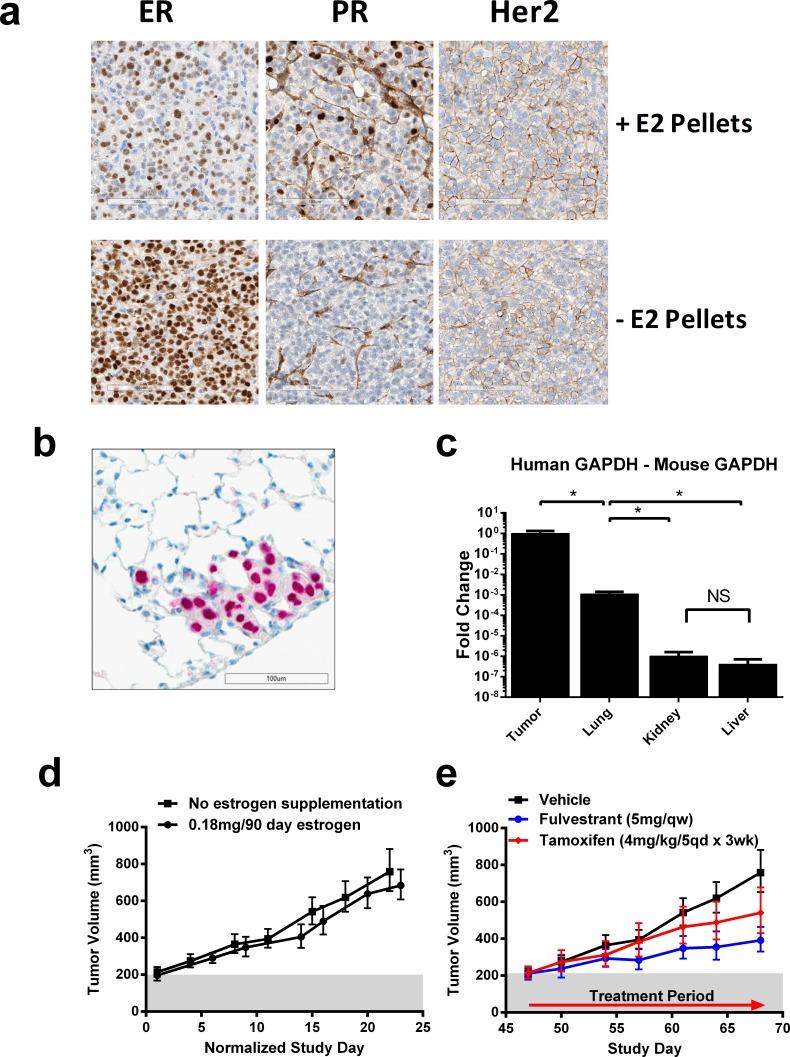 https://cdn.ncbi.nlm.nih.gov/pmc/blobs/0e5b/5342331/1dd4b9851e3a/oncotarget-07-54120-g001.jpg