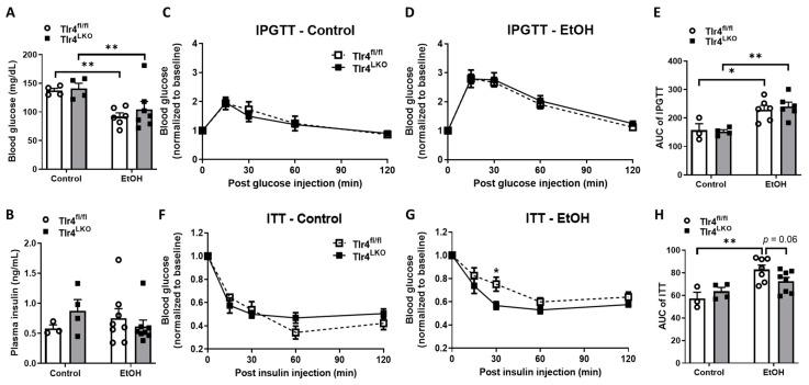 https://cdn.ncbi.nlm.nih.gov/pmc/blobs/0e5c/10046504/3b820a788a58/biomolecules-13-00454-g001.jpg