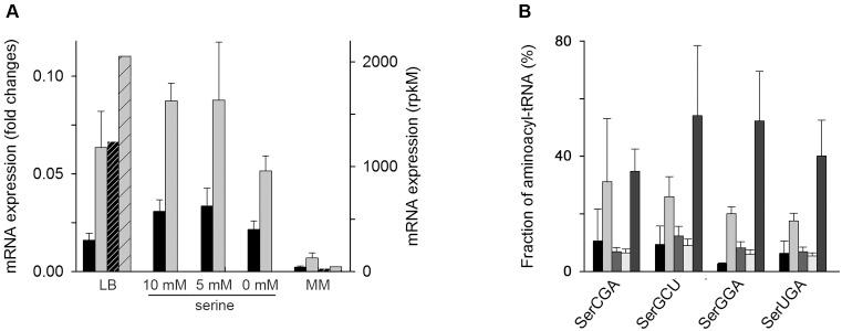 https://cdn.ncbi.nlm.nih.gov/pmc/blobs/0e69/5041488/1523539fe41d/gkw697fig4.jpg