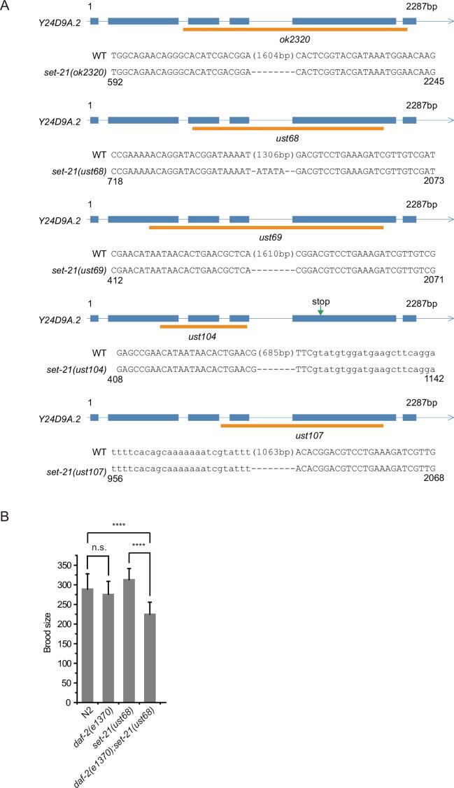 https://cdn.ncbi.nlm.nih.gov/pmc/blobs/0e6e/9514849/052373d15798/elife-74812-fig1-figsupp1.jpg