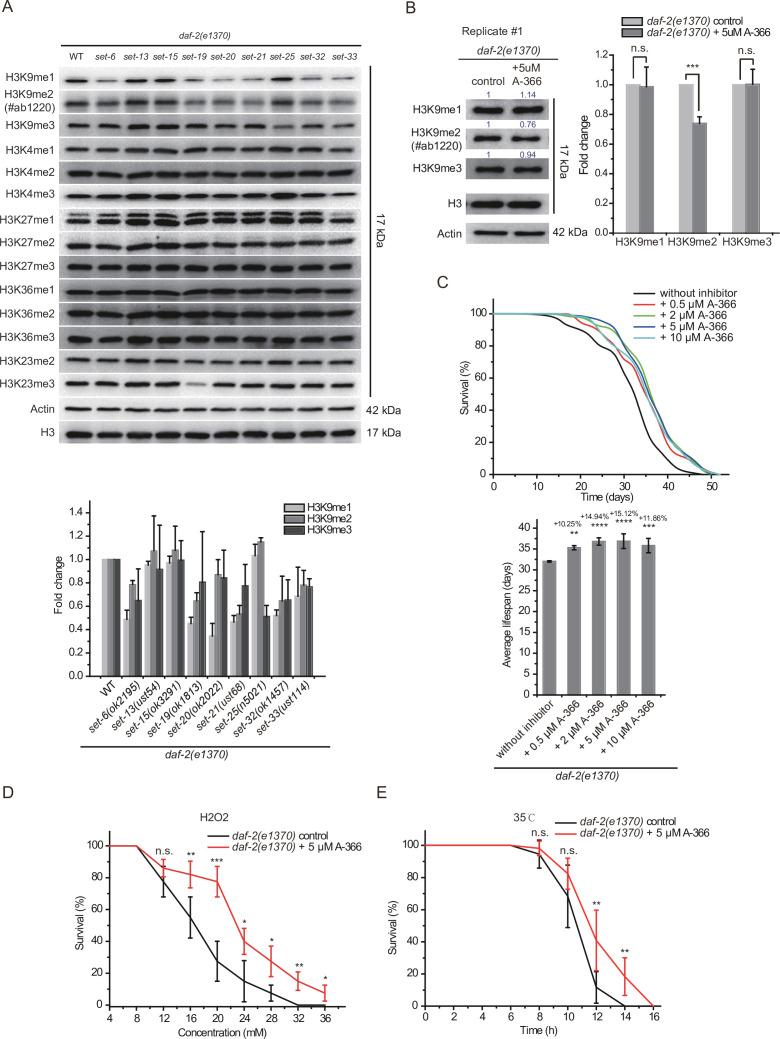 https://cdn.ncbi.nlm.nih.gov/pmc/blobs/0e6e/9514849/31b9310620e0/elife-74812-fig8.jpg